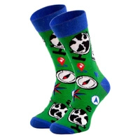 Skarpetki w Szkolne Wzory - Geografia